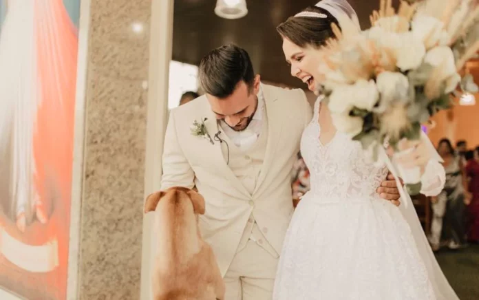 Le chien errant et le mariage "Caramelo"