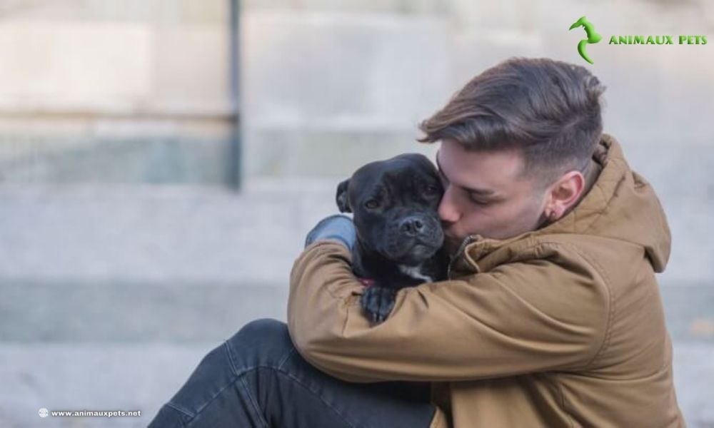 Le chien et son propriétaire sans abri